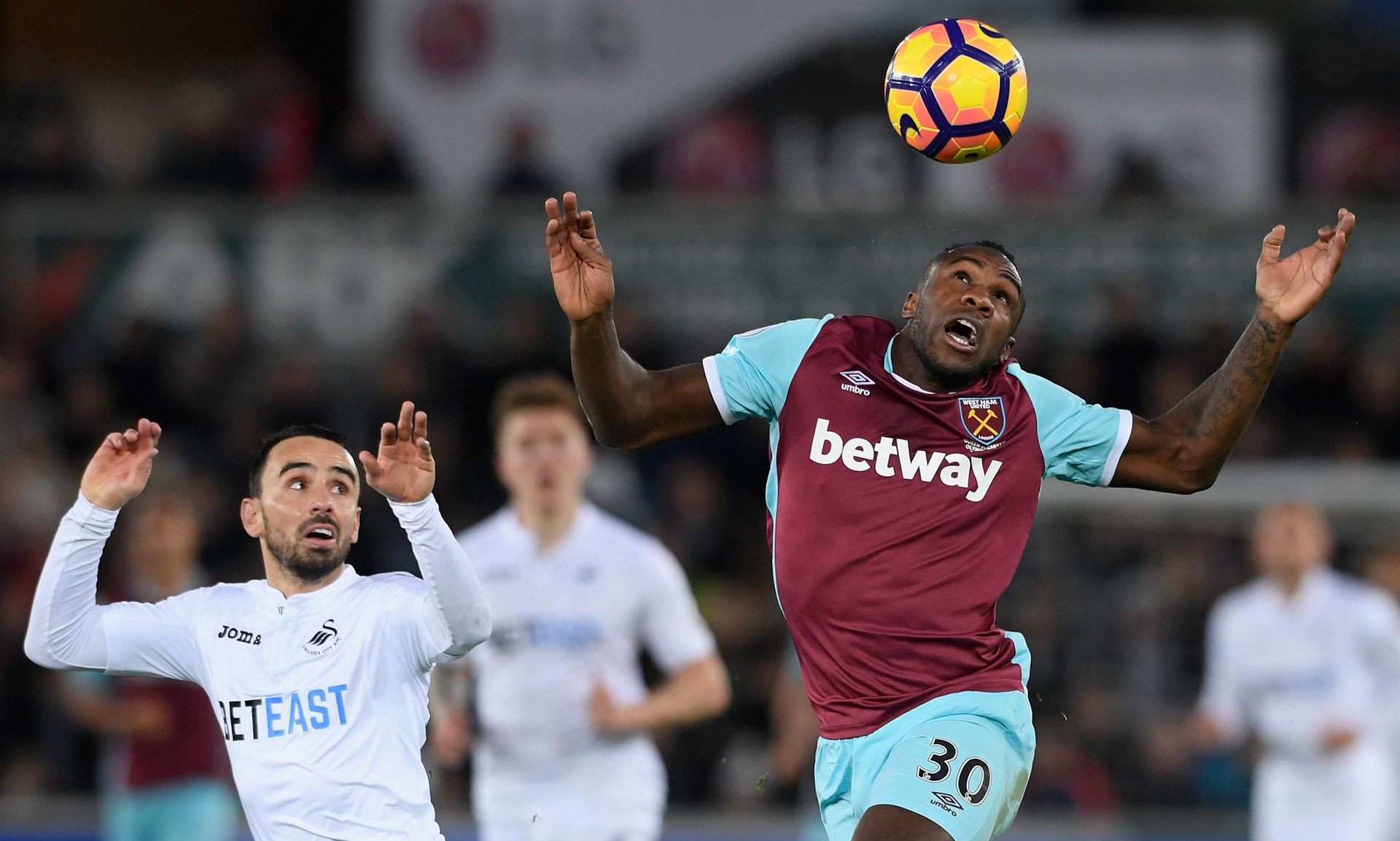 尤其是乌龙 尤其是乌龙